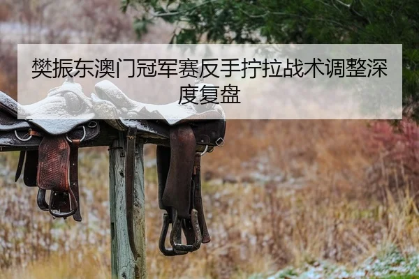 樊振东澳门冠军赛反手拧拉战术调整深度复盘