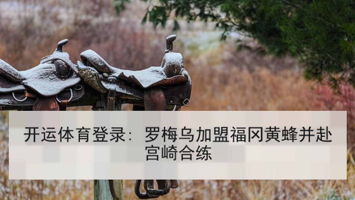 开运体育登录: 罗梅乌加盟福冈黄蜂并赴宫崎合练 开运体育登录: 罗梅乌加盟福冈黄蜂并赴宫崎合练