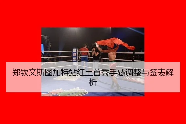 zheng-qin-wen-si-tu-jia-te-zhan-hong-tu-shou-xiu-shou-gan-tiao-zheng-yu-qian-biao-jie-xi-2-462.jpg